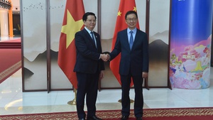 Deputy Prime Minister Mai Van Chinh meets Chinese Vice President Han Zheng