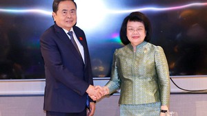 Top Vietnamese legislator meets with foreign leaders in Kuala Lumpur