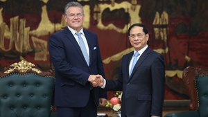 EU remains one of Viet Nam&#39;s key partners, Deputy PM reassures