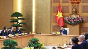 Viet Nam seeks Shandong’s experience in operating Free Trade Zones