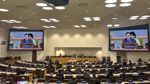 UN hails Viet Nam’s achievements, contributions to pandemic prevention