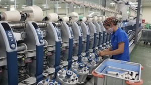 Int’l media highlights Viet Nam’s rising role in global supply chains