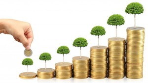 New policies take effect from January 2026