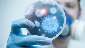 Viet Nam on high alert over Nipah virus