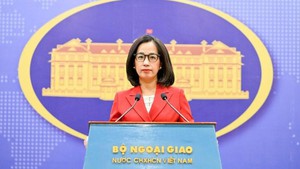 Viet Nam welcomes all efforts bringing sustainable peace to Gaza Strip