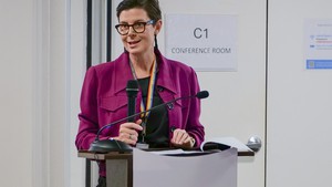 Risk of Nipah infection and spread in Viet Nam remain low: WHO