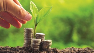 ADB, SBV launch US$2 million green banking initiative to advance climate finance in Viet Nam