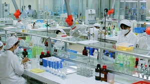 Gov’t approves chemical pharmaceutical industry development program through 2030