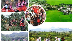 Central Steering Committee on national target program for on social, cultural, rural development in ethnic minority and mountainous areas 2026–2035 founded