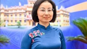 Injecting fresh impetus into Viet Nam-Denmark relations