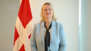 It is particularly important for Viet Nam, Denmark to strenghen relations amid current global landscape