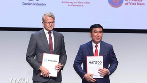 Hateco Group teams up with Danish giant Maersk in developing railway freight station network in Viet Nam