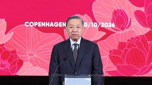 Concert celebrates 55 years of Viet Nam-Denmark diplomatic ties