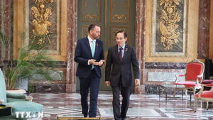 Belgium treasures relations with Viet Nam: Deputy PM Maxime Prévot