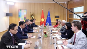 To Lam holds talks with European Council President António Costa