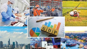 Viet Nam’s GDP growth accelerates to 9.95% in Q3