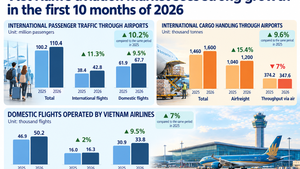 Viet Nam's aviation market serves over 110 million passengers in January-October as fleet grows