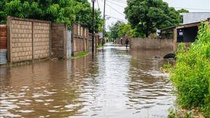 Viet Nam donates US$100,000 to help Mozambique overcome natural disaster consequences