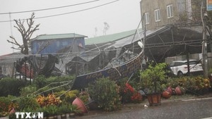 UNESCO, Japan help strengthen early warnings capacity in Nghe An