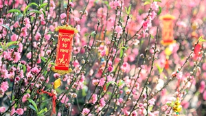 State President Luong Cuong extends 2026 Lunar New Year greetings