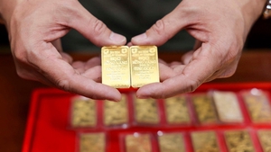 Fresh policies take effect from February 2026