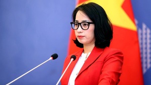 Viet Nam ready for tax dialogue, cooperation with EU