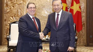 Party chief hosts Cuban special envoy, foreign minister