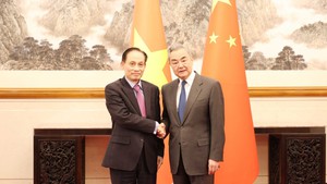 Vietnamese, Chinese foreign ministers hold talks in Beijing
