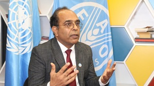 FAO: Viet Nam moves towards a more modern, sustainable and high-value agricultural sector