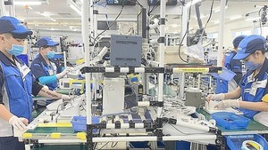 FDI disbursement reaches five-year high