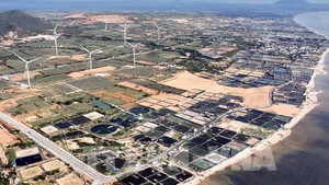 Gov’t determined to accelerate Ninh Thuan 1 nuclear power project amid global energy turmoil