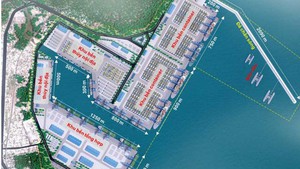 Hateco-APM consortium wins US$1.7 bln Lien Chieu Container Port project in Da Nang