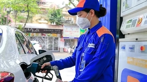 Finance ministry proposes 50% reduction in environmental protection tax on energy