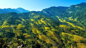 Viet Nam home to 36 national parks
