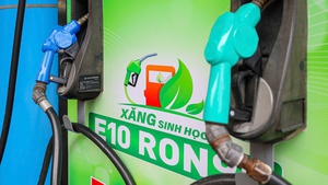 E10 biofuel may be rolled out from next June