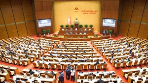 National Assembly temporarily removes fuel taxes through June