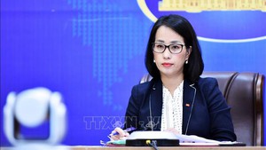 Vietnamese vessels in Middle East remain safe: Foreign Ministry