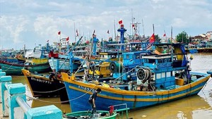 Shortcomings in IUU fishing combat must be fixed comprehensively