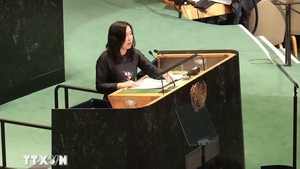Viet Nam calls for strict, balanced implementation of three pillars of Treaty on Non-Proliferation of Nuclear Weapons