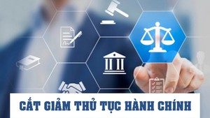 Gov't issues 8 Decrees on streamlining administrative procedures, business conditions