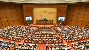 National Assembly approves organizational structure of Government