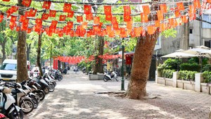 Ha Noi: Local pavements cleared in urban order crackdown