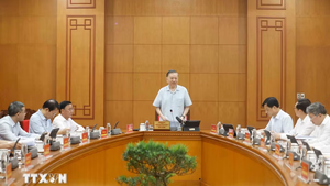 Top leader calls for stronger int'l cooperation in quantum technology