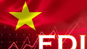 FDI inflows and disbursement in January-April reach five-year high