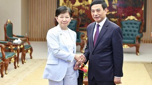 DPM receives UN Under-Secretary-General, High Representative for Disarmament Affairs