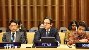 Viet Nam becomes founding member of Group of Friends for Combating Technology-facilitated Trafficking in Persons