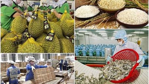 Agro-forestry-aquatic exports surge over 9% in five months