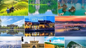 Viet Nam among top 10 peaceful counties in Asia-Pacific: 2026 Global Peace Index