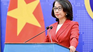 Spokesperson: Viet Nam ready to support Venezuela after earthquake