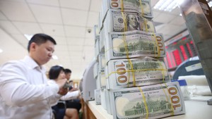 Viet Nam's foreign exchange reserves hit US$87.6 bln